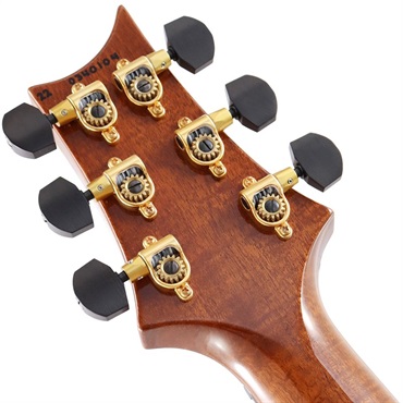 P.R.S. Ikebe Original Wood Library Custom24 McCarty Thickness Tiger Eye [SN.0340104] 【2022年生産モデル】 画像10