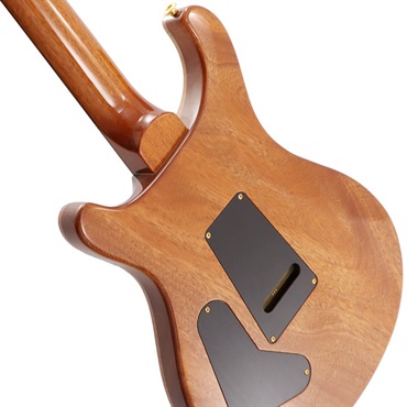 P.R.S. Ikebe Original Wood Library Custom24 McCarty Thickness Tiger Eye [SN.0340443] 【2022年生産モデル】 画像5