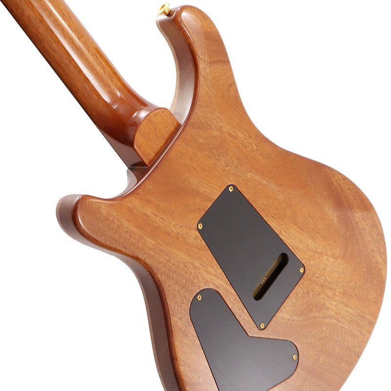 P.R.S. Ikebe Original Wood Library Custom24 McCarty Thickness Tiger Eye [SN.0340443] 【2022年生産モデル】 画像5