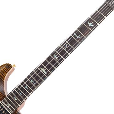 P.R.S. Ikebe Original Wood Library Custom24 McCarty Thickness Tiger Eye [SN.0340443] 【2022年生産モデル】 画像8