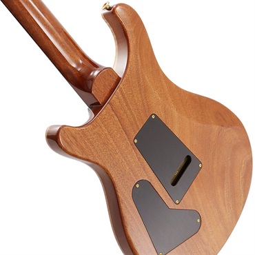 P.R.S. Ikebe Original Wood Library Custom24 McCarty Thickness Espresso [SN.0340062] 【2022年生産モデル】 画像5