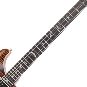 P.R.S. Ikebe Original Wood Library Custom24 McCarty Thickness Espresso [SN.0340062] 【2022年生産モデル】 画像8