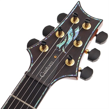 P.R.S. Ikebe Original Wood Library Custom24 McCarty Thickness Espresso [SN.0340062] 【2022年生産モデル】 画像9