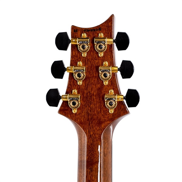 P.R.S. Ikebe Original Wood Library Custom24 McCarty Thickness Espresso #0340105 【2022年生産モデル】 画像4
