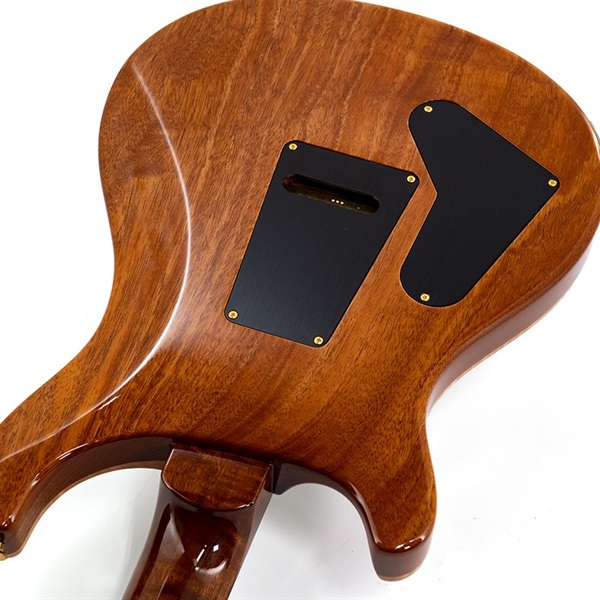 P.R.S. Ikebe Original Wood Library Custom24 McCarty Thickness Espresso #0340105 【2022年生産モデル】 画像10