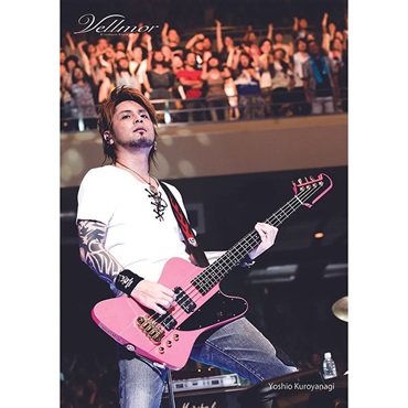 VELLMOR 【受注生産品、ご予約受付中】 VTB-380 [SOPHIA KURO Signature Model] 画像10