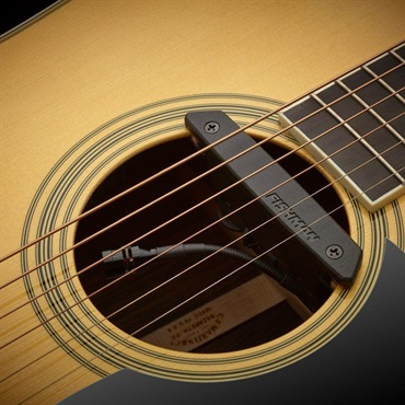 FISHMAN Rare Earth Blend 画像1