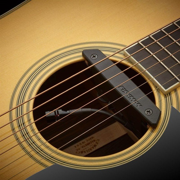 FISHMAN Rare Earth Blend 画像1