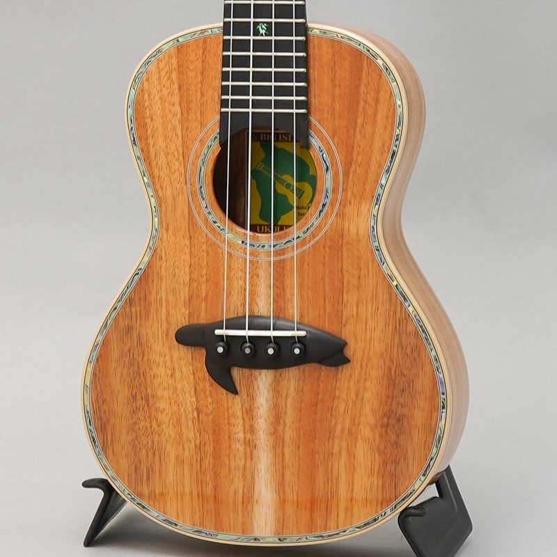 BIG ISLAND KX-CTG ビッグアイランド 画像2