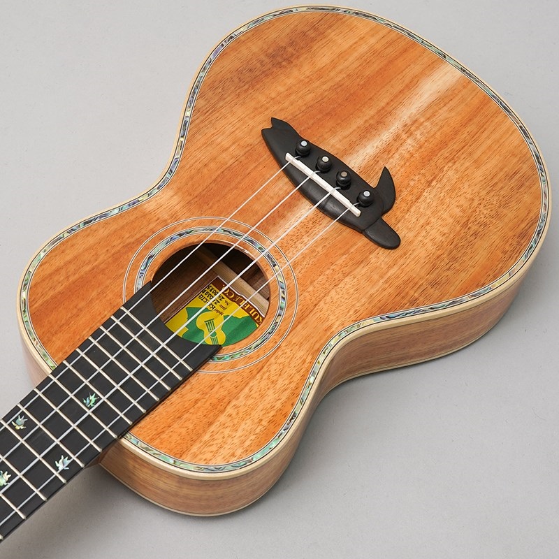 BIG ISLAND KX-CTG ビッグアイランド 画像4