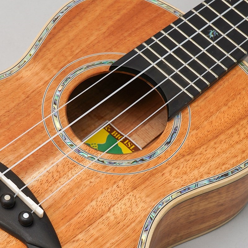 BIG ISLAND KX-CTG ビッグアイランド 画像6