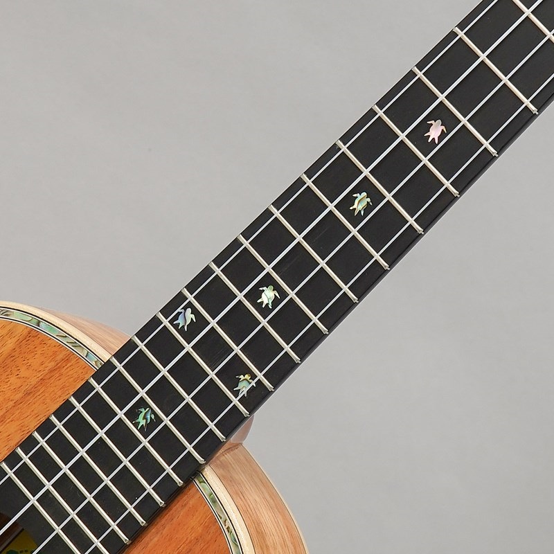 BIG ISLAND KX-CTG ビッグアイランド 画像8