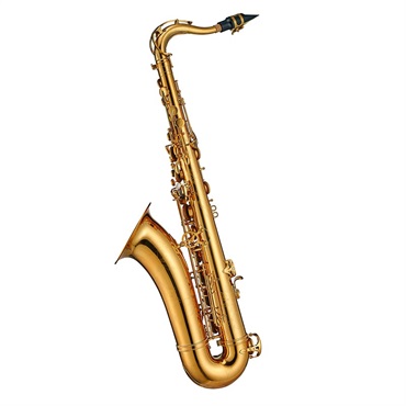 Antigua 【お取り寄せ品】テナーサックス アンティグア PRO ONE プロワン TS6200 【調整&セットアップ後出荷】【5年間キーバランス調整無料】 画像1