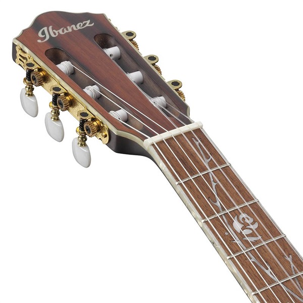 Ibanez TOD10N-TKF [Tim Henson Signature Model TOD10N] アイバニーズ ｜イケベ楽器店オンラインストア