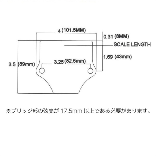 Stetsbar PROIII STOPTAIL NICKEL ストップテイル用トレモロブリッジ