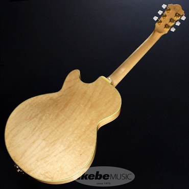 フルアナログ回路のエレアコ用プリアンプ「AGP10」がIbanezから登場！ – GuitarQuest イシバシ楽器が送る楽器情報サイト