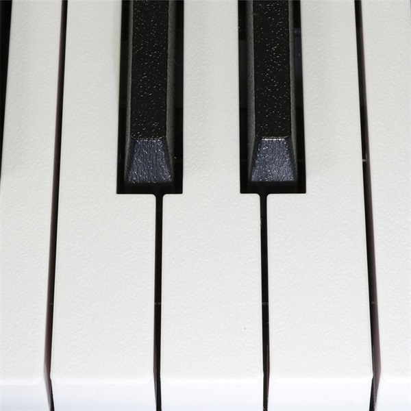 Kikutani 折りたたみ電子ピアノ 電子キーボード KDP-61P BLK(ブラック) 画像6