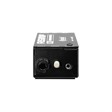 Radial Reamp HP 画像4