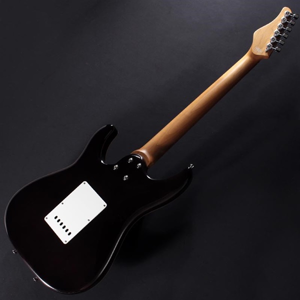 SCHECTER SD-2-24-AL-VTR-FM/LGB/RM ｜イケベ楽器店