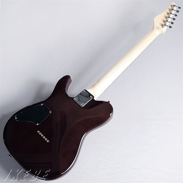 SCHECTER KR-24-2H-FXD (See-thru Red/R) 画像5