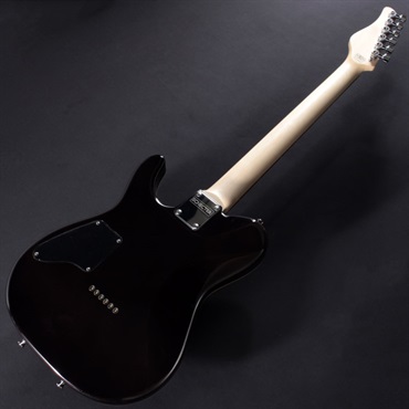 SCHECTER KR-24-2H-FXD (See-thru Black/R) 画像5