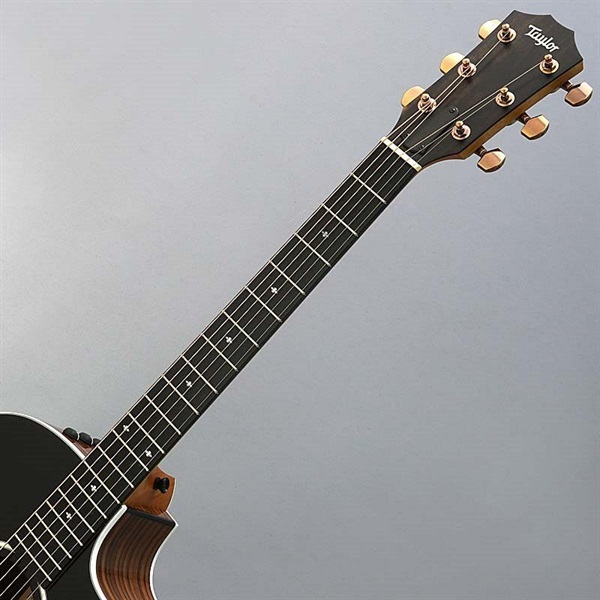 TAYLOR 214ce Rosewood DLX SB 【特価】 ｜イケベ楽器店