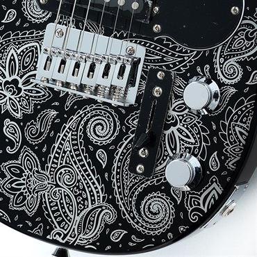 VOX MARK III mini Paisley BKSV【イケベ独占販売モデル】 画像4