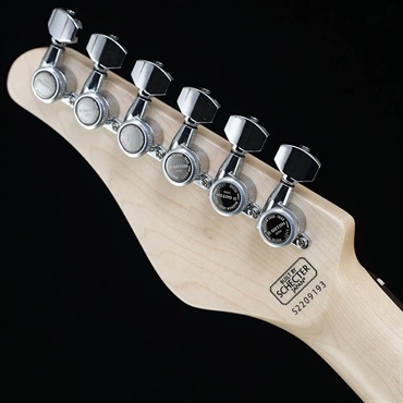 SCHECTER AR-06 (Vintage White/Rosewood) ｜イケベ楽器店オンラインストア