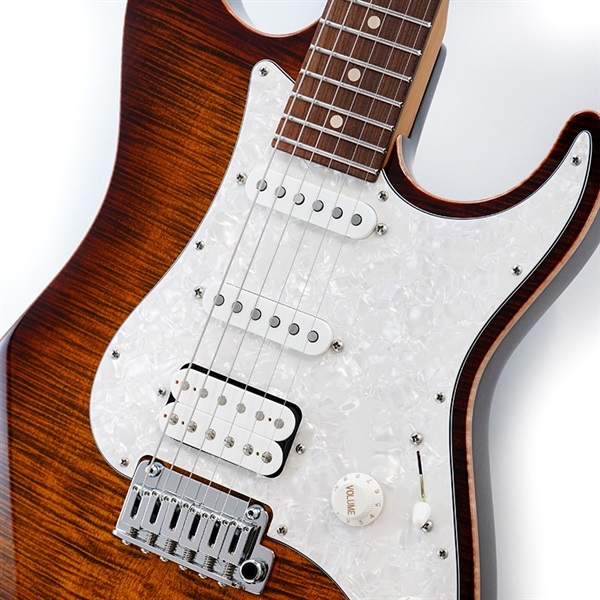Suhr Guitars Core Line Series Standard Plus (Bengal Burst/Pau 