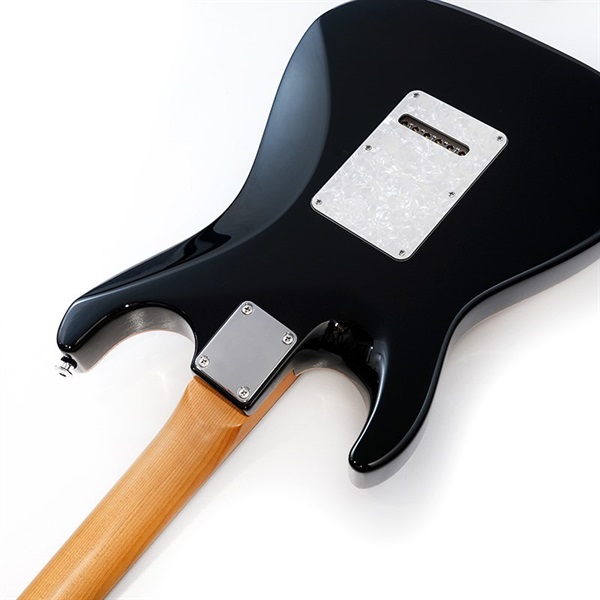 Suhr Guitars Core Line Series Standard Plus (Bengal Burst/Pau  