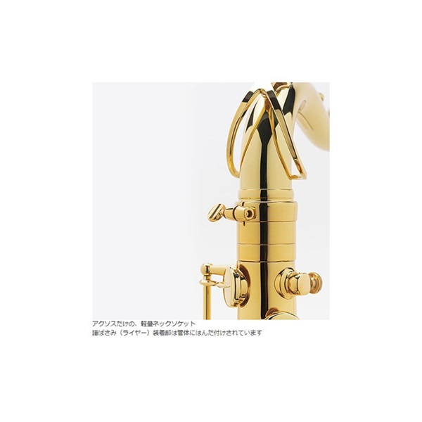 Selmer Paris 【彦坂眞一郎氏選定品】テナーサックス　セルマー AXOS（アクソス） 【調整&セットアップ後出荷】【5年間キーバランス調整無料】 画像3