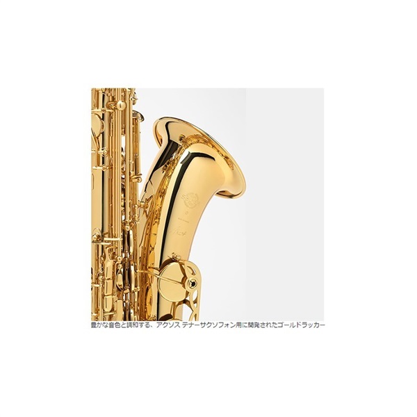 Selmer Paris 【彦坂眞一郎氏選定品】テナーサックス　セルマー AXOS（アクソス） 【調整&セットアップ後出荷】【5年間キーバランス調整無料】 画像6