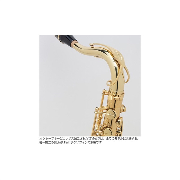 Selmer Paris 【彦坂眞一郎氏選定品】テナーサックス　セルマー AXOS（アクソス） 【調整&セットアップ後出荷】【5年間キーバランス調整無料】 画像7