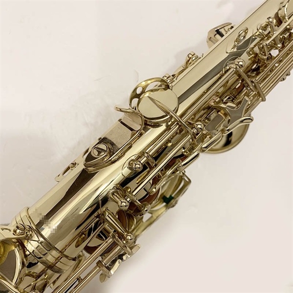 Selmer Paris セルマー アルトサックス SERIE III w/e GL S/N:614xx2 【調整&セットアップ後出荷】【5年間キーバランス調整無料】 画像8
