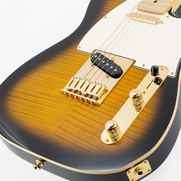FUJIGEN IKEBE ORDER INTE-10MFM (2-Tone Sunburst) 【SN.B220654】 画像9