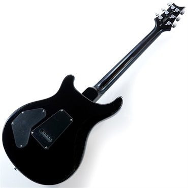P.R.S. SE DGT (McCarty Tobacco Sunburst / Bird Inlays) 画像2