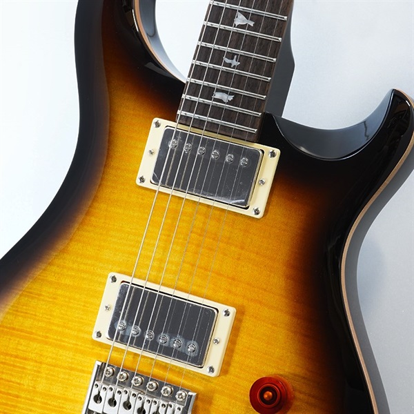 P.R.S. SE DGT (McCarty Tobacco Sunburst / Bird Inlays) ｜イケベ楽器店