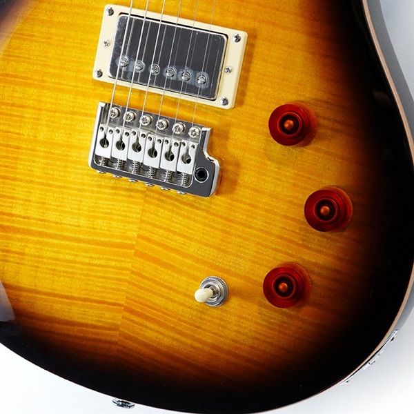P.R.S. SE DGT (McCarty Tobacco Sunburst / Bird Inlays P.R.S. SE DGT (McCarty Tobacco Sunburst / Bird Inlays