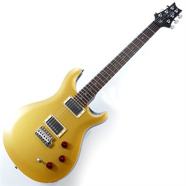 P.R.S. SE DGT (Gold Top / Moon Inlays) 画像1