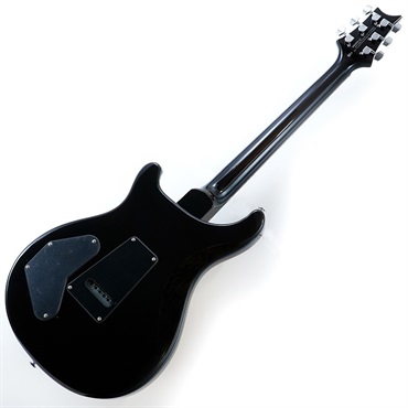 P.R.S. SE DGT (Gold Top / Moon Inlays) 画像2