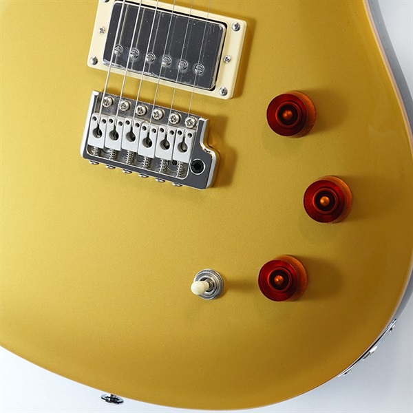 P.R.S. SE DGT (Gold Top / Moon Inlays) 画像4