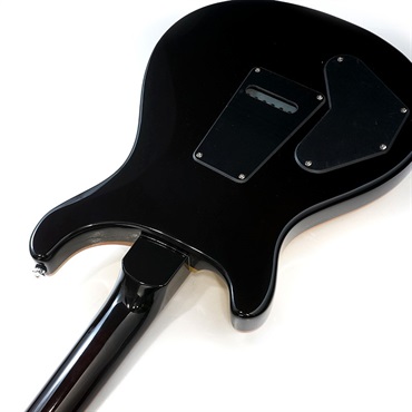 P.R.S. SE DGT (Gold Top / Moon Inlays) 画像6