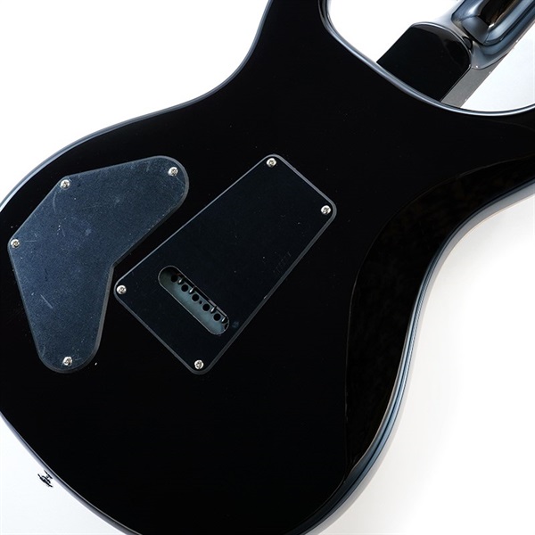 P.R.S. SE DGT (Gold Top / Moon Inlays) 画像7