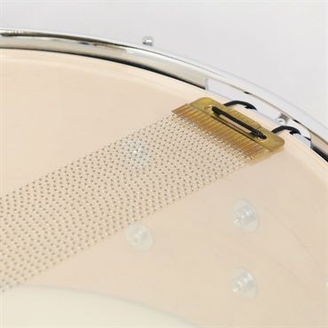 CANOPUS JSM-1455-YGS-LQ／Gray Sparkle  [刃 II YAIBA Maple Snare Drum 14×5.5] 画像6