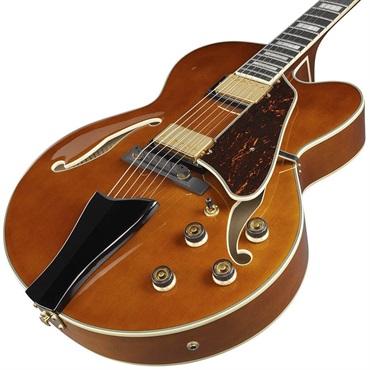 Ibanez Artcore Expressionist AF95-DA [SPOT MODEL] 画像2