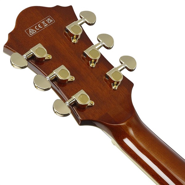 Ibanez Artcore Expressionist AF95-DA [SPOT MODEL] 画像5