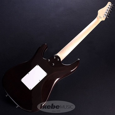 SCHECTER SD-2-24-AL (See-Thru Red/Maple) 画像5