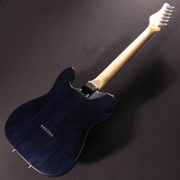 SCHECTER IKEBE ORDER Progauge Series PS-S-PT (PBT/R