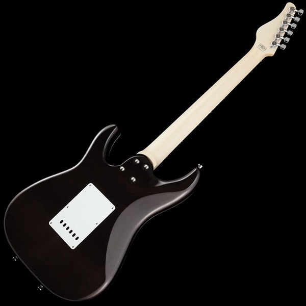 SCHECTER SD-2-24-AL-VTR (Black/Rosewood) ｜イケベ楽器店オンライン