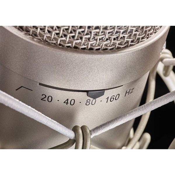 NEUMANN M149 Tube Set(国内正規品3年保証)(ノイマン)(真空管コンデンサーマイク) 画像4